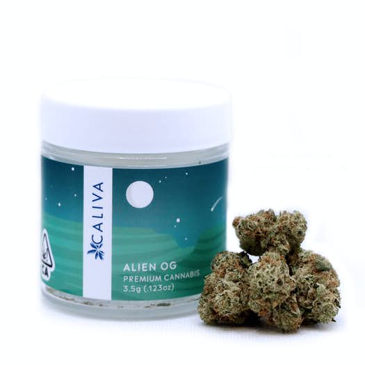 ALIEN OG WEED | Medical Marijuana Shop